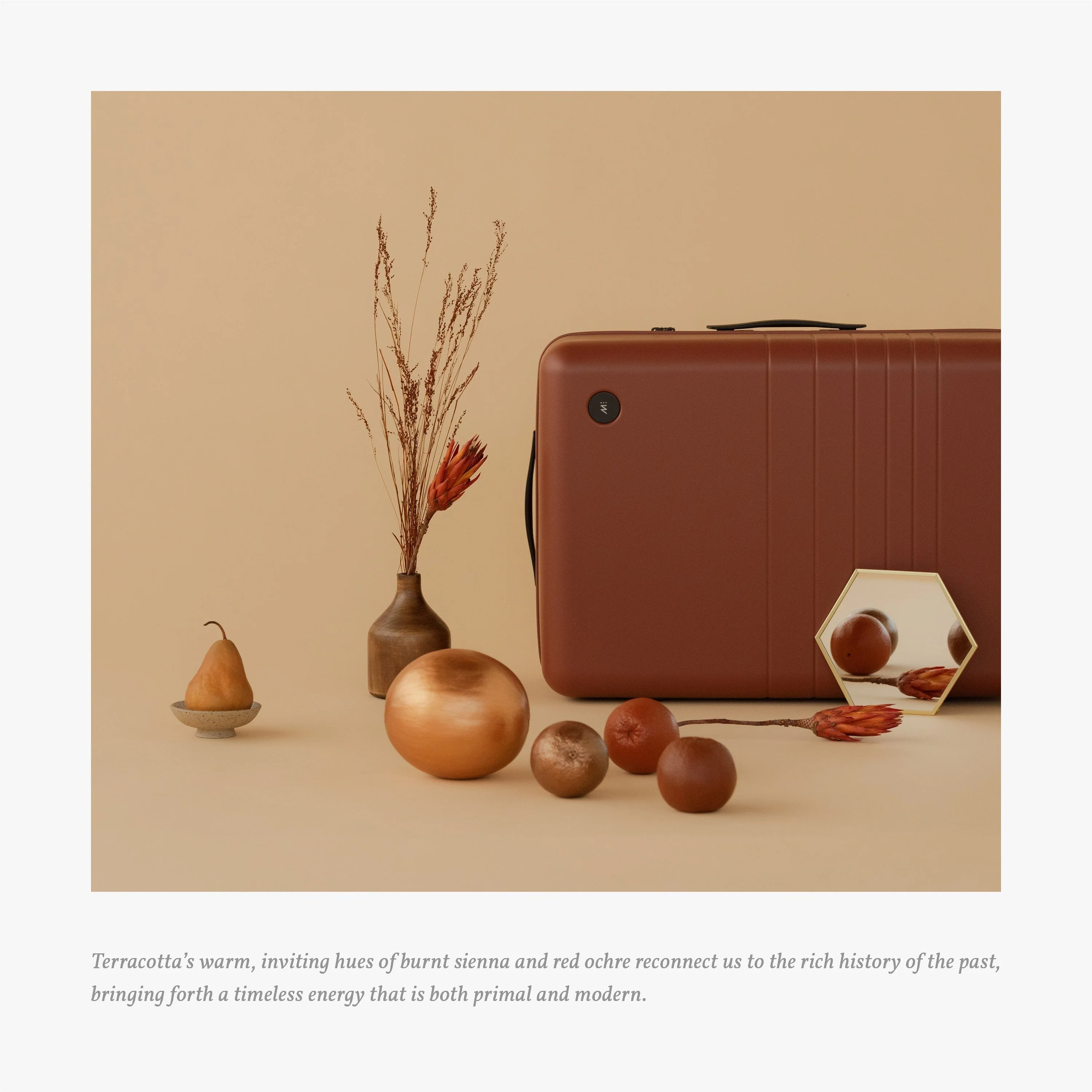 Carry-On Pro - Image 92